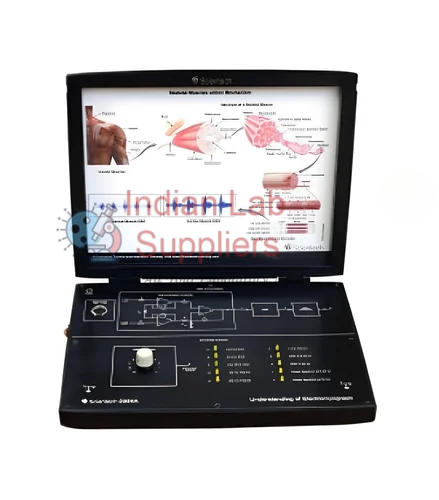 Electromyograph Trainer